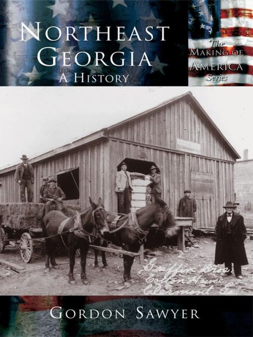 Cover of the book Northeast Georgia by Gordon Sawyer, Arcadia Publishing Inc.