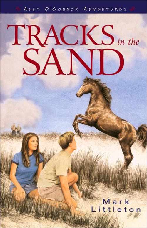 Cover of the book Tracks in the Sand (Ally O’Connor Adventures Book #1) by Mark Littleton, Baker Publishing Group