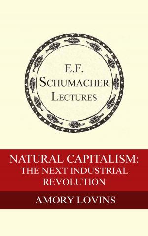 Book cover of Natural Capitalism: The Next Industrial Revolution