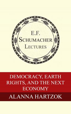 Book cover of Democracy, Earth Rights, and the Next Economy