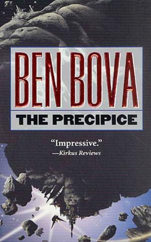 Cover of the book The Precipice by Ken Shufeldt