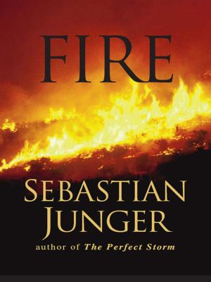 Cover of the book Fire by Nicholas Carr