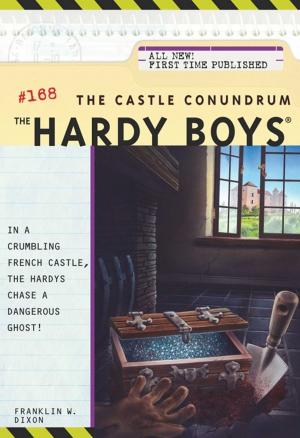 Cover of the book The Castle Conundrum by Elise Leonard