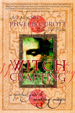 Cover of the book Witch Crafting by Andrew Theitic