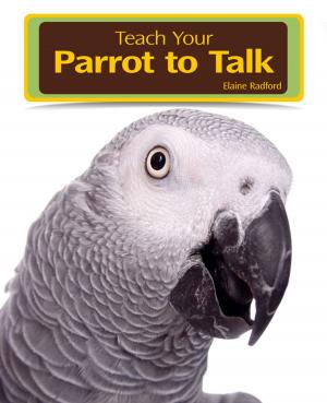 Book cover of Teaching Your Parrot to Talk