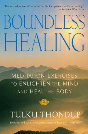 Cover of the book Boundless Healing by Dza Kilung Rinpoche