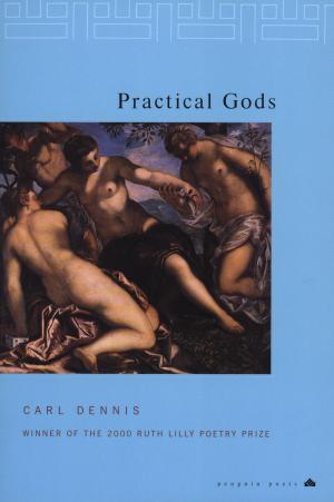 Cover of the book Practical Gods by Sarah Katreen Hoggatt