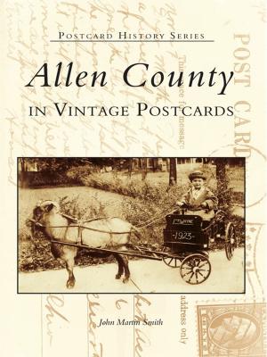 Book cover of Allen County in Vintage Postcards