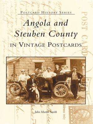 Book cover of Angola and Steuben County in Vintage Postcards