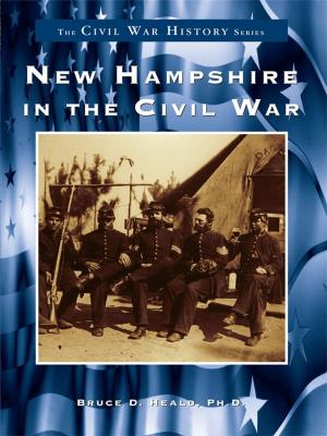 Cover of the book New Hampshire in the Civil War by Staci Simon Glover