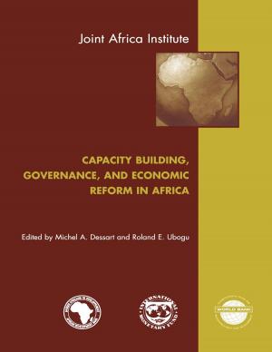 Cover of the book Capacity Building, Governance, and Economic Reform in Africa by Claudia Ms. Dziobek, Mei Mr. Jin