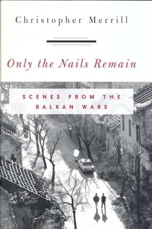 Cover of the book Only the Nails Remain by Catherine DePino