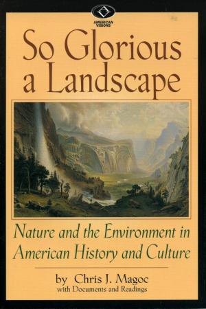 bigCover of the book So Glorious a Landscape by 