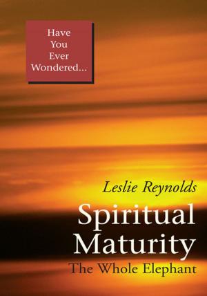 Cover of the book Spiritual Maturity by Godswill U. Onyekwere