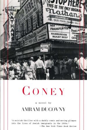 Book cover of Coney