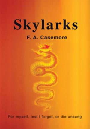 Cover of the book Skylarks by Arianne Ruth Anderson
