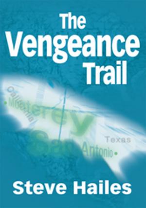 Cover of the book The Vengeance Trail by Anita Clay Kornfeld