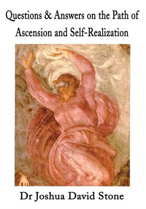 Cover of the book Questions & Answers on the Path of Ascension and Self-Realization by Rene Faulcon