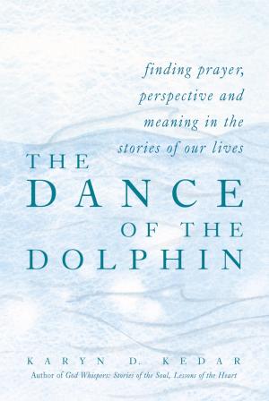 Cover of the book The Dance of the Dolphin by Yoel Glick