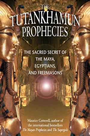 Book cover of The Tutankhamun Prophecies