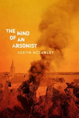 Cover of the book The Mind of an Arsonist by Guruchander Khalsa, Kirn Khalsa