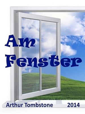 Book cover of Am Fenster