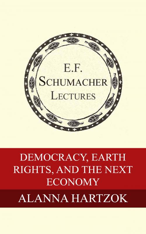 Cover of the book Democracy, Earth Rights, and the Next Economy by Alanna Hartzok, Hildegarde Hannum, Schumacher Center for a New Economics
