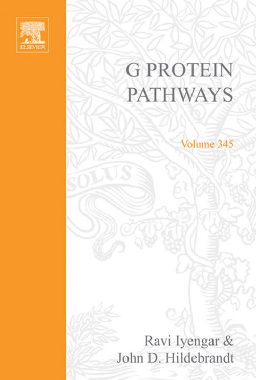 Cover of the book G Protein Pathways, Part C: Effector Mechanisms by Ravi Iyengar, John D. Hildebrandt, Elsevier Science