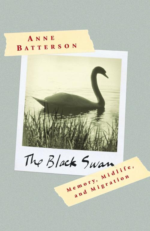 Cover of the book The Black Swan by Anne Batterson, Scribner