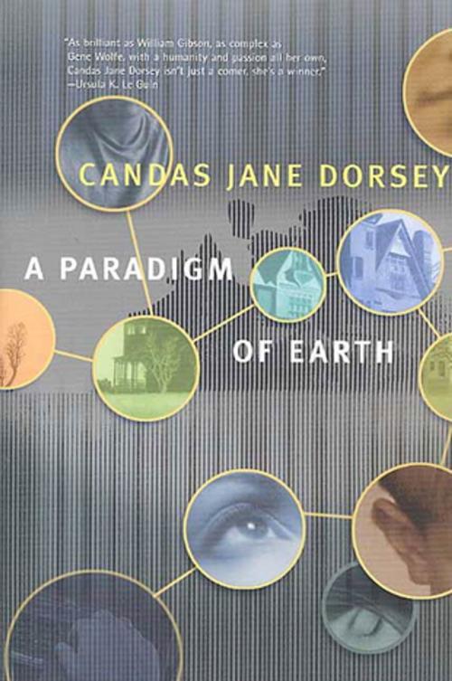 Cover of the book A Paradigm of Earth by Candas Jane Dorsey, Tom Doherty Associates