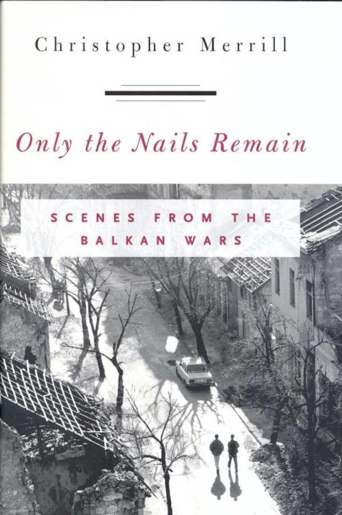 Cover of the book Only the Nails Remain by Christopher Merrill, Rowman & Littlefield Publishers