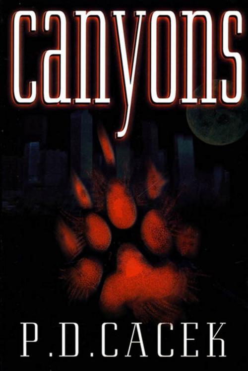 Cover of the book Canyons by P. D. Cacek, Tom Doherty Associates