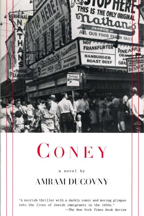 Cover of the book Coney by Amram Ducovny, ABRAMS
