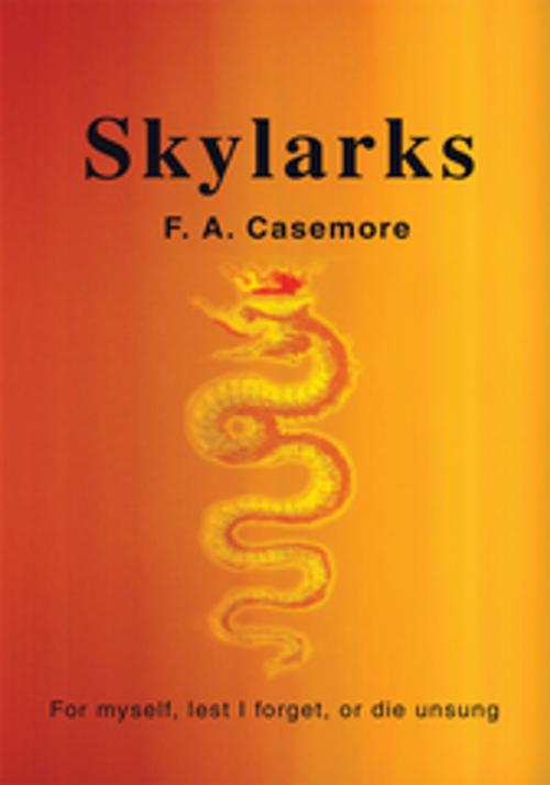 Cover of the book Skylarks by F. A. Casemore, iUniverse