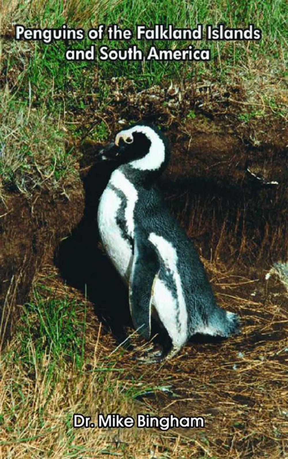 Big bigCover of Penguins of the Falkland Islands and South America