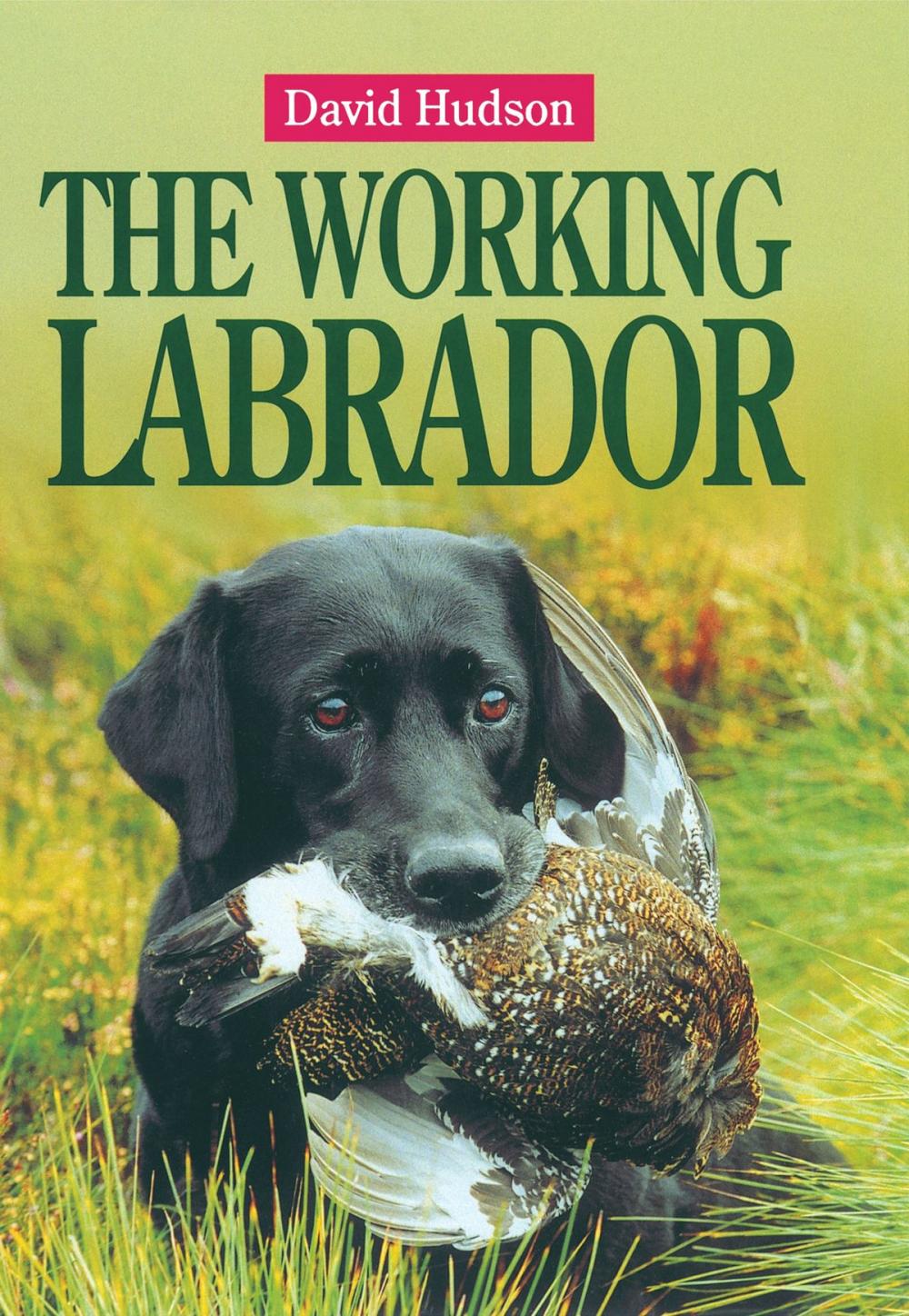 Big bigCover of The Working Labrador