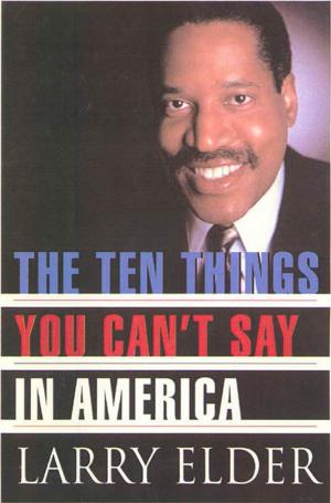 Cover of the book The Ten Things You Can't Say In America by Terence Taylor