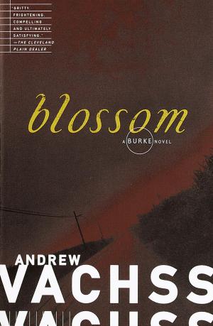 Cover of the book Blossom by Alister McGrath