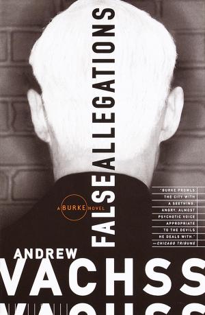 Cover of the book False Allegations by Lawrence Wright