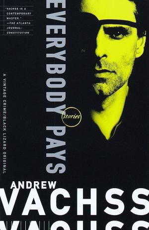 Cover of the book Everybody Pays by 