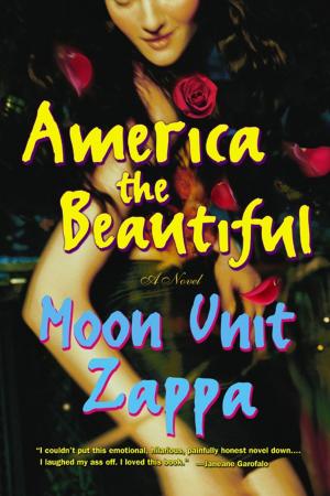 Cover of the book America the Beautiful by Kimberley Freeman