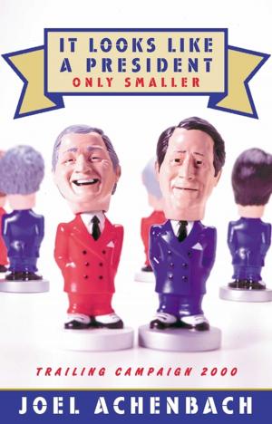 Cover of the book It Looks Like a President Only Smaller by Paul Slansky