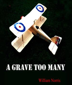 Cover of the book A Grave Too Many by Shane Ward