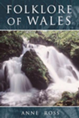 Cover of the book Folklore of Wales by Chris Brown