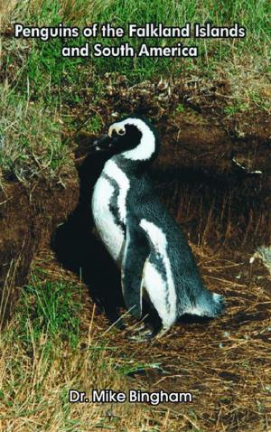 Cover of the book Penguins of the Falkland Islands and South America by GG Davenport