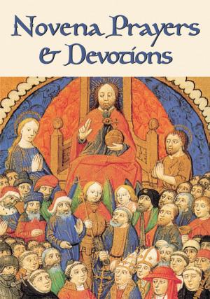 Cover of the book Novena Prayers and Devotions by Barbara Franklin