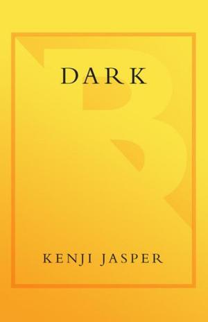 Cover of the book Dark by Christian Tyoder, Lynn Tyoder