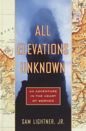 Cover of the book All Elevations Unknown by Gary Lumpp