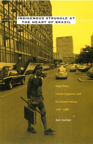 Cover of the book Indigenous Struggle at the Heart of Brazil by Danny Hoffman