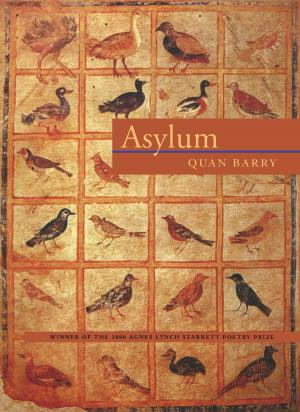 Cover of the book Asylum by Christopher Bakken